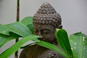 Bild Buddhastatue - Bali