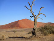 Bild Duenen im Sossusvlei, Namibia